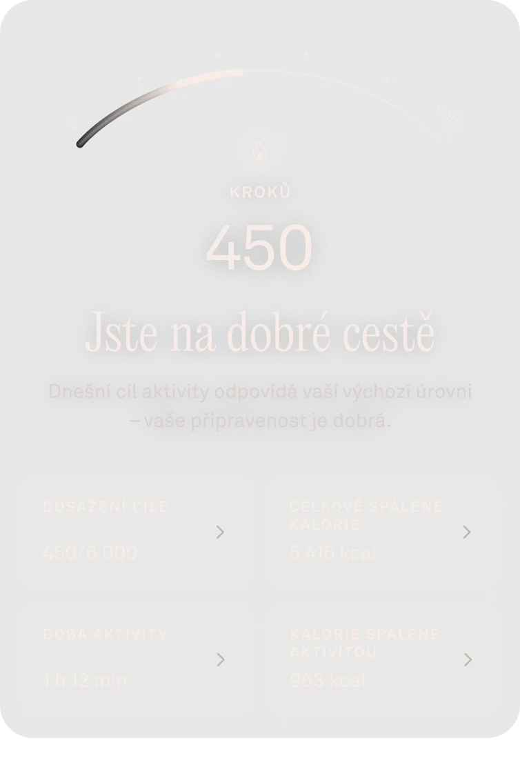 Uživatelské rozhraní aplikace zobrazující skóre aktivity